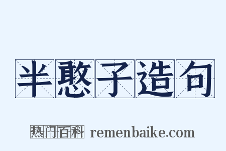 半憨子造句是什么意思的图片